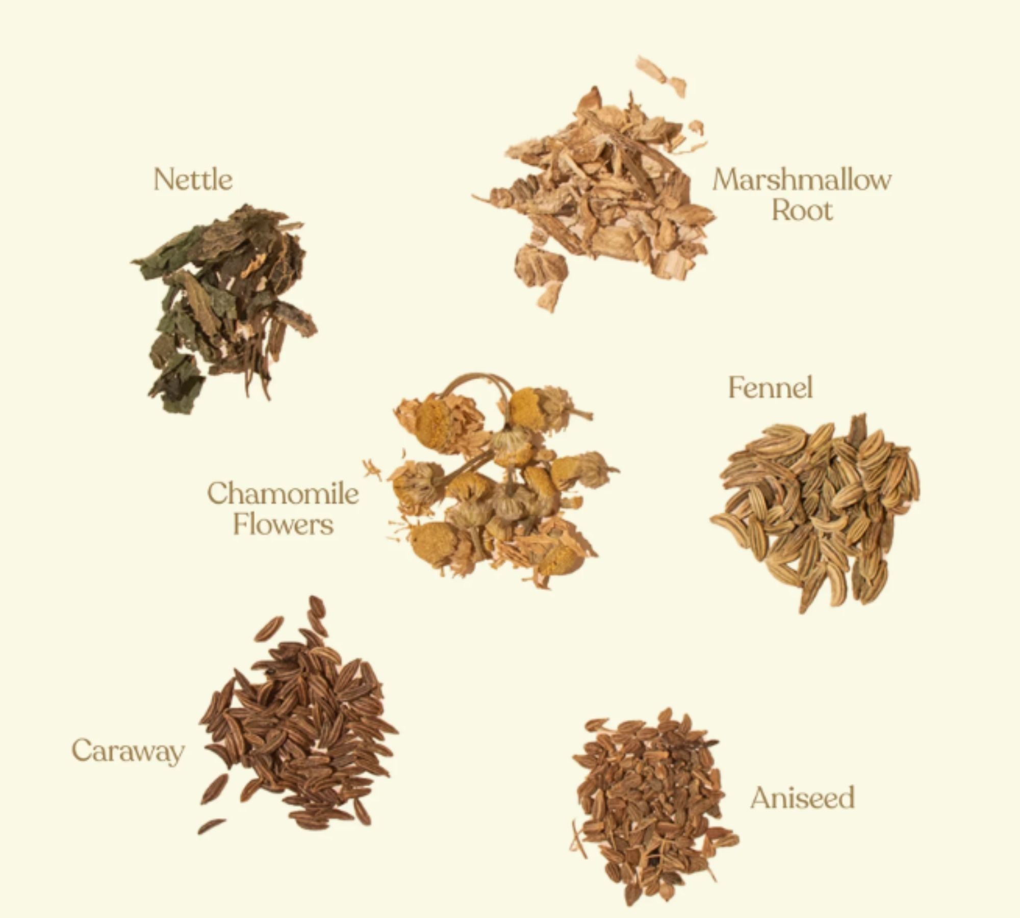 Nursing Tea